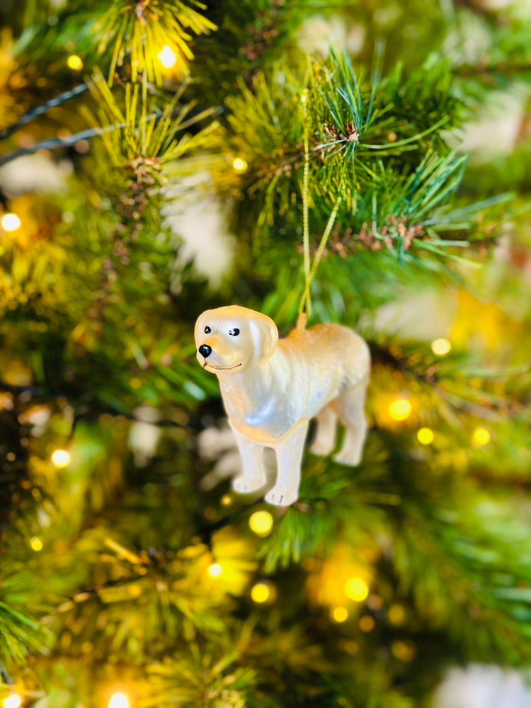 
                  
                    Labrador Kerstbal in Kerstboom
                  
                