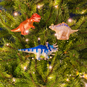
                  
                    Kerstballen Cadeauset Dinosaurussen
                  
                